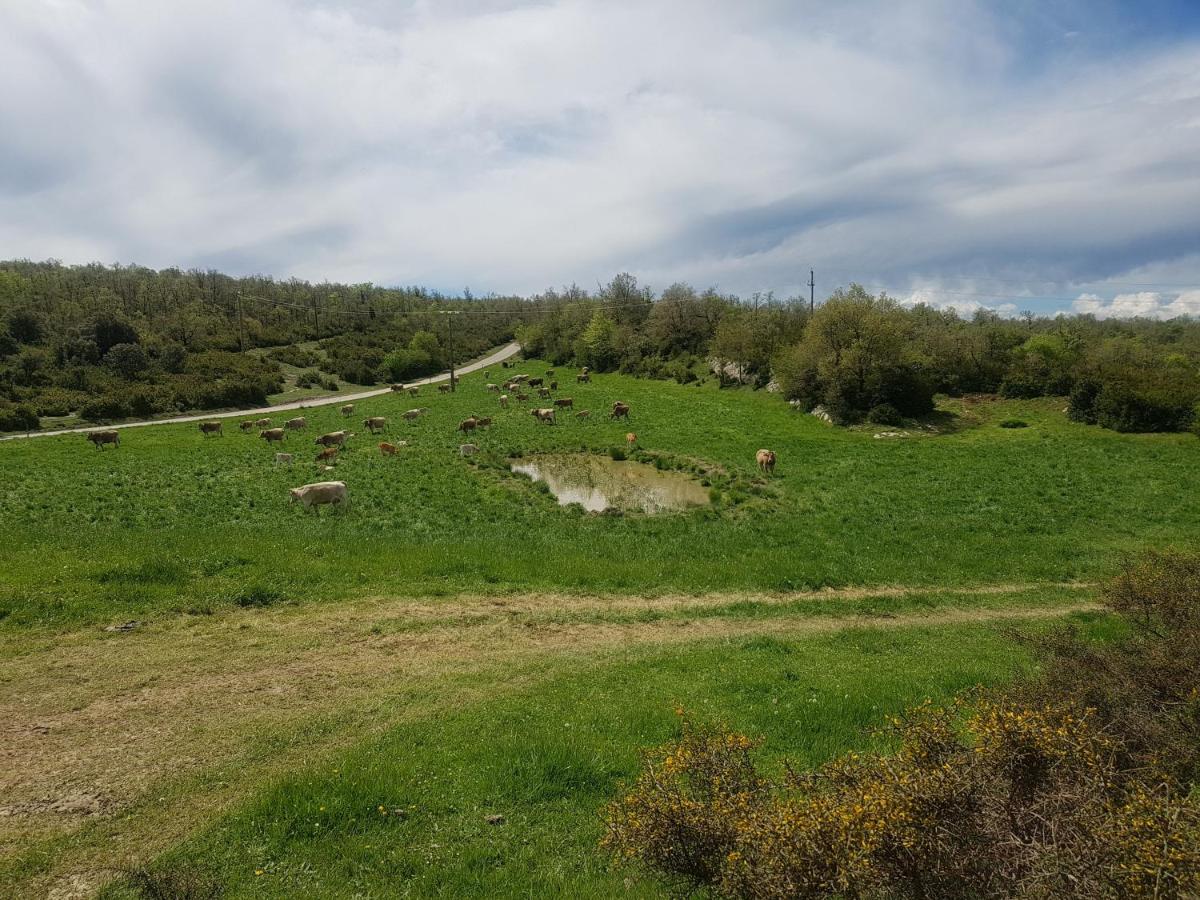 Santuari De La Salut De Sant Feliu De Pallerols Luaran gambar