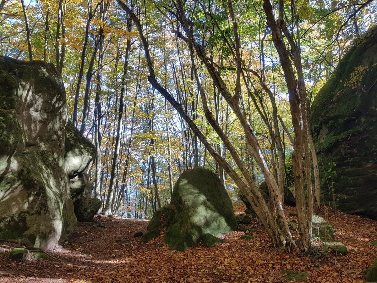 Santuari De La Salut De Sant Feliu De Pallerols Luaran gambar