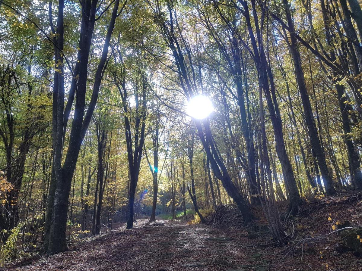 Santuari De La Salut De Sant Feliu De Pallerols Luaran gambar